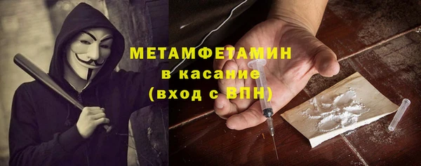 прущие грибы Горнозаводск
