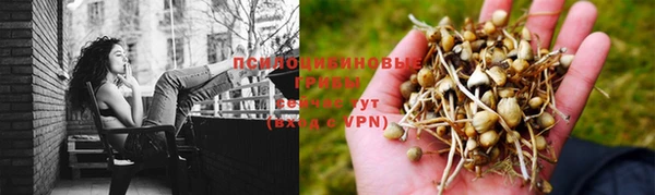 каннабис Горняк