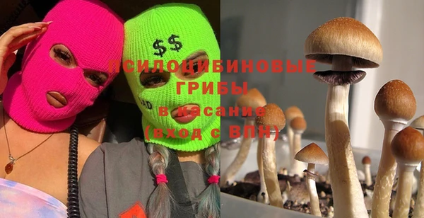 хмурый Гусев