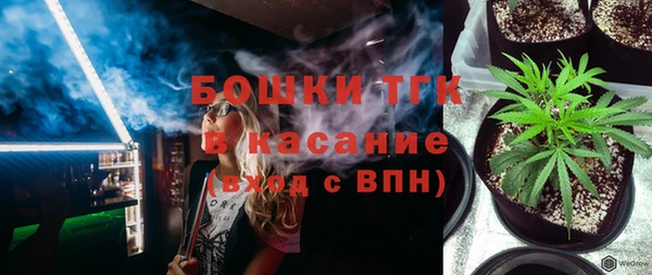 хмурый Гусев