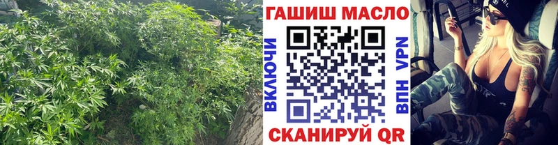 Купить закладки Советск ТГК вейп с тгк