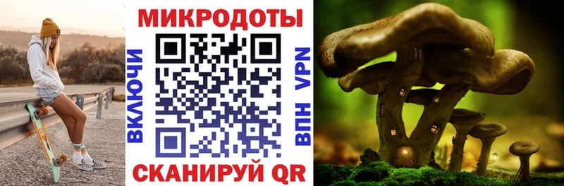 Псилоцибиновые грибы мухоморы  Купить  Советск 